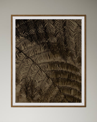 Natural wood kiaat framed earthy abstract artwork of close-up of ferns by Francoise V Fine Art Gallery in Cape Town, South Africa.