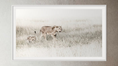 White box-framed artwork print of a portrait of a lioness and her cub by Francoise V Fine Art Gallery in Cape Town, South Africa