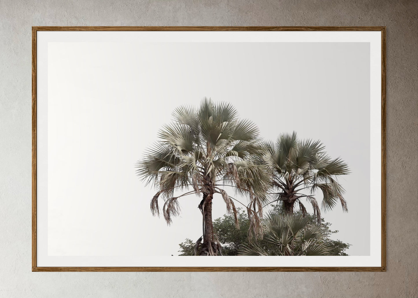 Natural Wood Kiaat framed artwork of palm trees with a clear sky by Francoise V Fine Art Gallery in Cape Town, South Africa