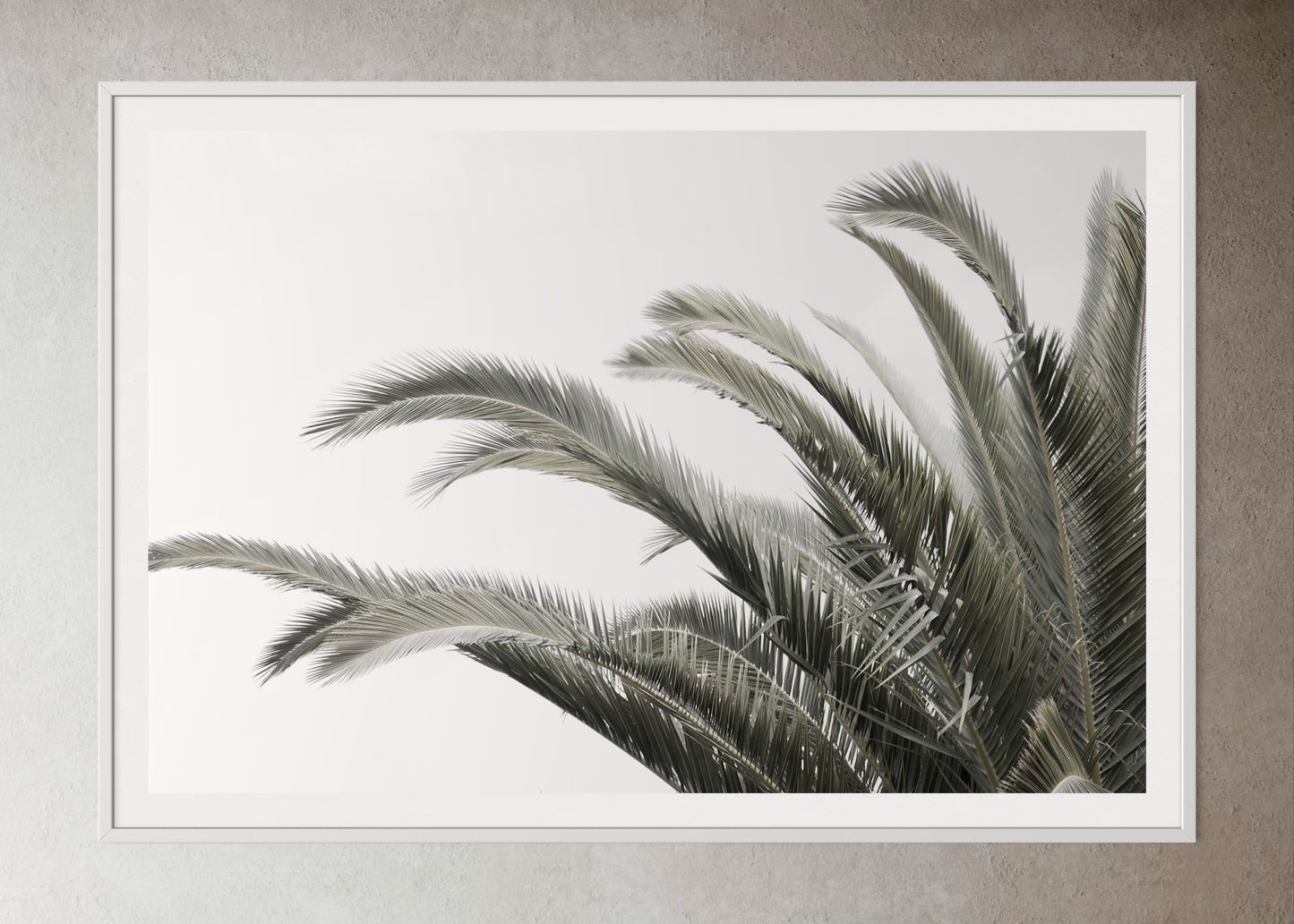 White box-framed artwork print of a palm tree with a clear sky by Francoise V Fine Art Gallery in Cape Town, South Africa