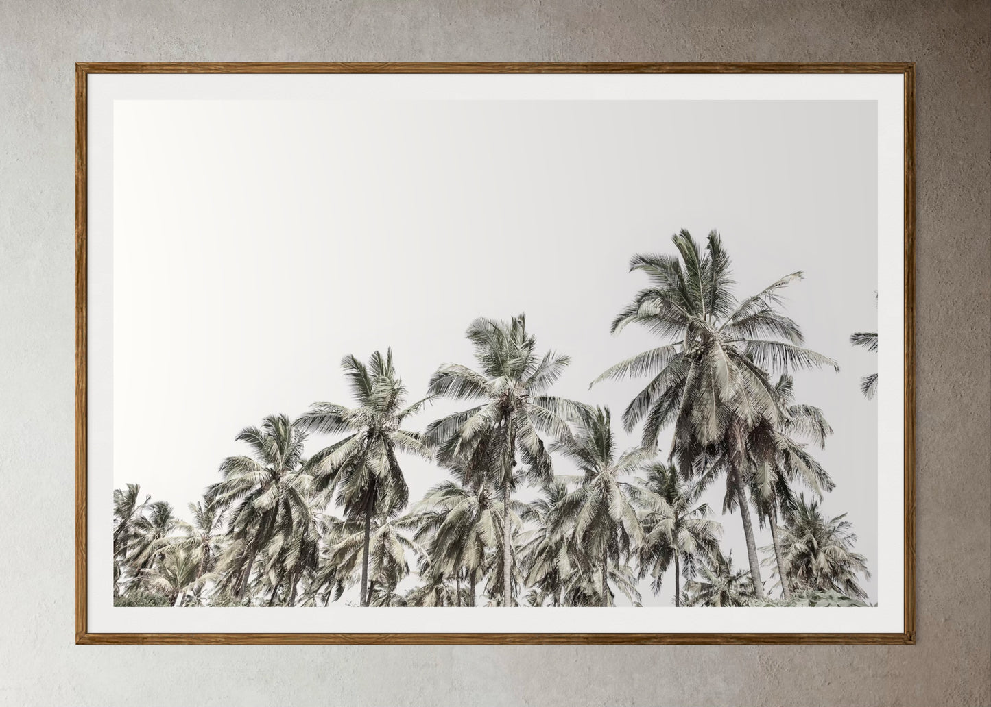Natural Wood Kiaat framed artwork of palm tree trees with a clear sky by Francoise V Fine Art Gallery in Cape Town, South Africa