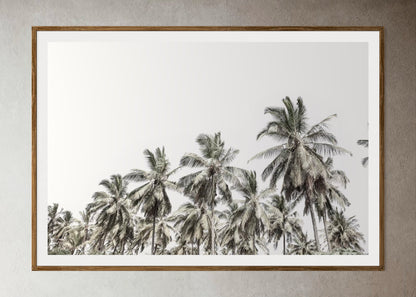 Natural Wood Kiaat framed artwork of palm tree trees with a clear sky by Francoise V Fine Art Gallery in Cape Town, South Africa