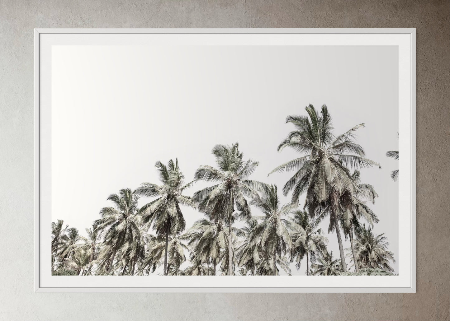 White box-framed artwork print of palm trees with a clear sky by Francoise V Fine Art Gallery in Cape Town, South Africa