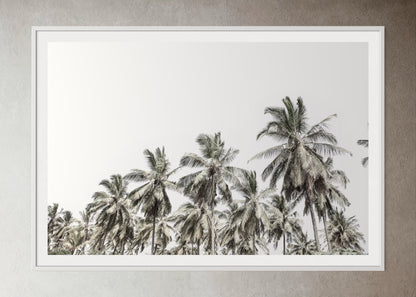 White box-framed artwork print of palm trees with a clear sky by Francoise V Fine Art Gallery in Cape Town, South Africa