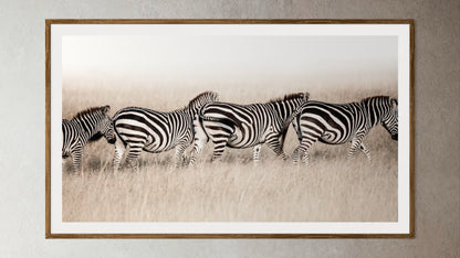Natural Wood Kiaat framed artwork of a portrait of 4 zebras in a line by Francoise V Fine Art Gallery in Cape Town, South Africa