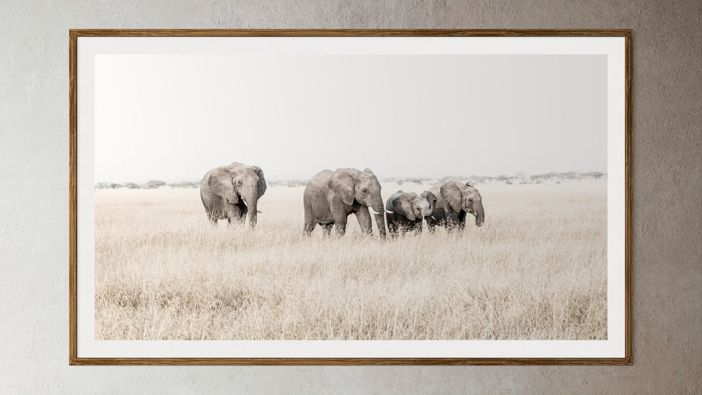 Natural Wood Kiaat framed artwork of a portrait of a family of elephants walking through grass by Francoise V Fine Art Gallery in Cape Town, South Africa