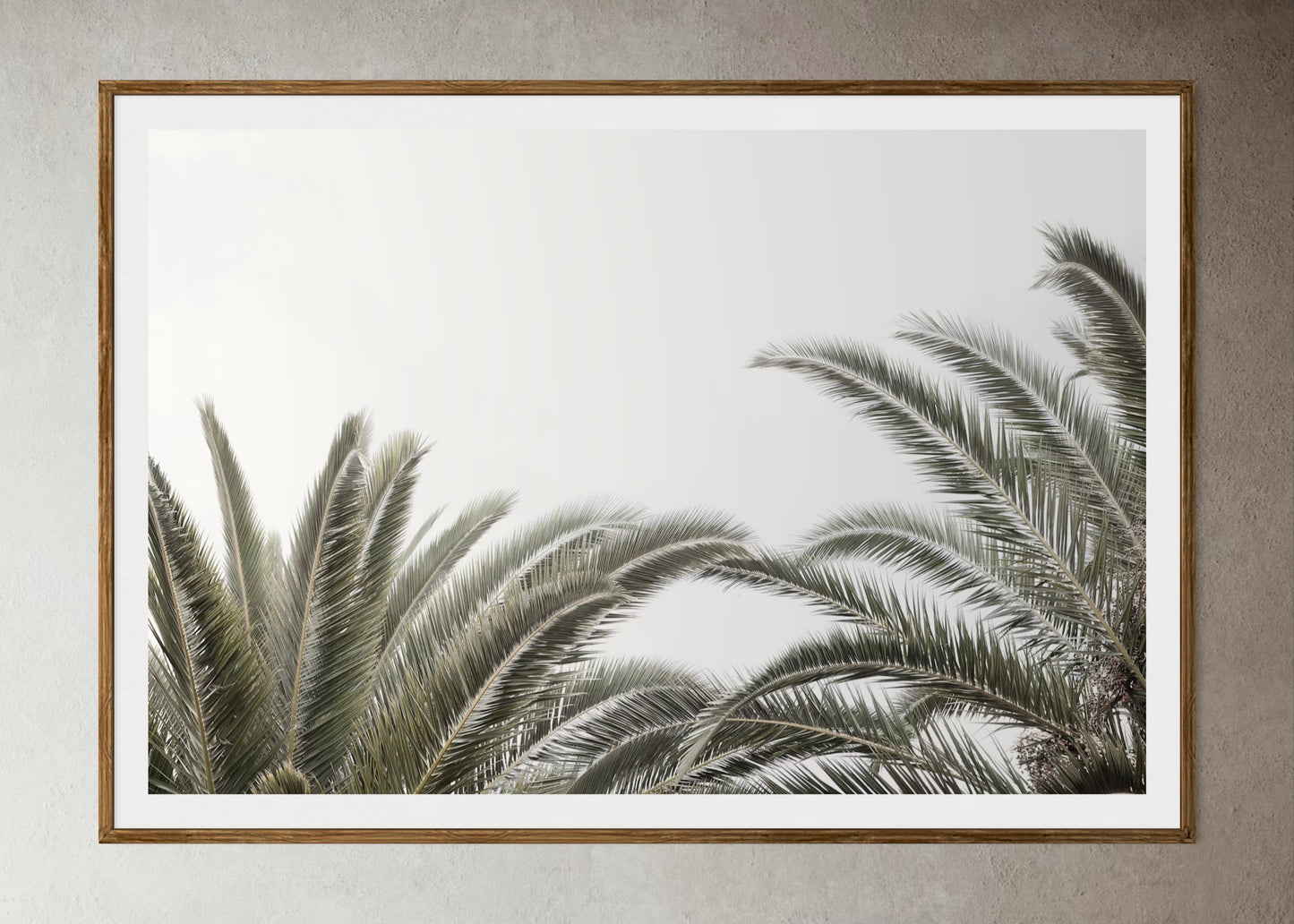 Natural Wood Kiaat framed artwork of palm trees with a clear sky by Francoise V Fine Art Gallery in Cape Town, South Africa