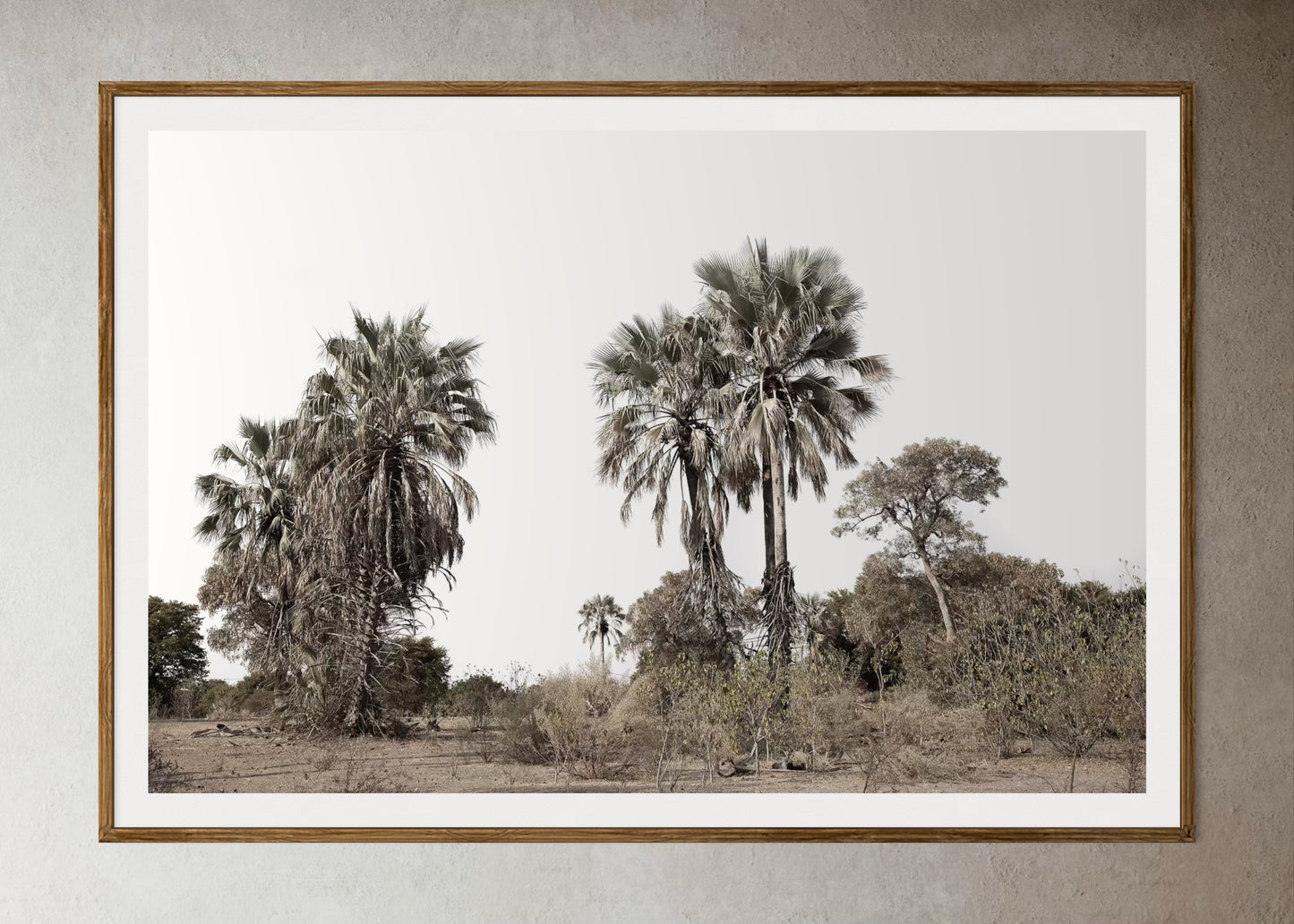 Natural Wood Kiaat framed artwork of palm trees with a clear sky by Francoise V Fine Art Gallery in Cape Town, South Africa