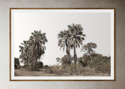Natural Wood Kiaat framed artwork of palm trees with a clear sky by Francoise V Fine Art Gallery in Cape Town, South Africa