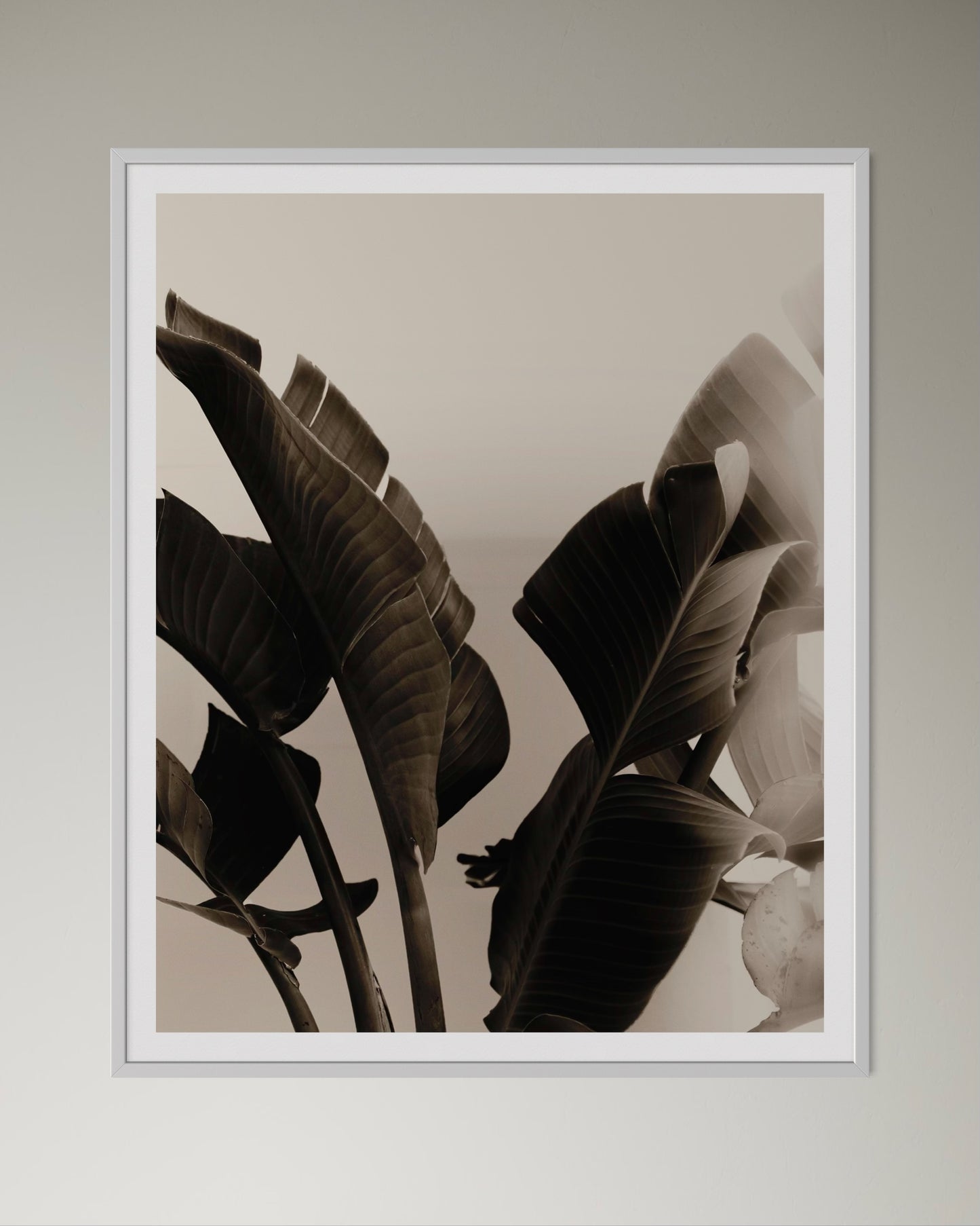 White box-framed artwork of a close-up of tropical leaves with a blurred background by Francoise V Fine Art Gallery in Cape Town, South Africa.