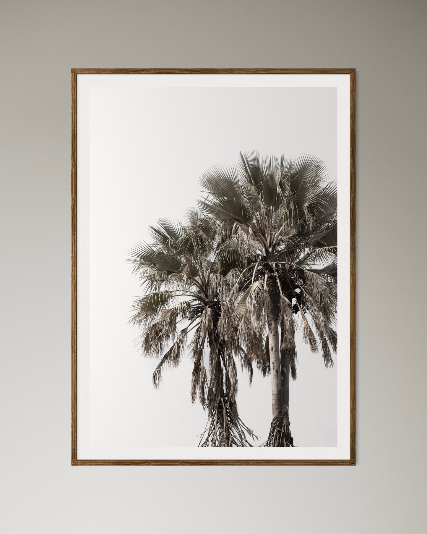 Natural Wood Kiaat framed artwork of palm trees with a clear sky by Francoise V Fine Art Gallery in Cape Town, South Africa