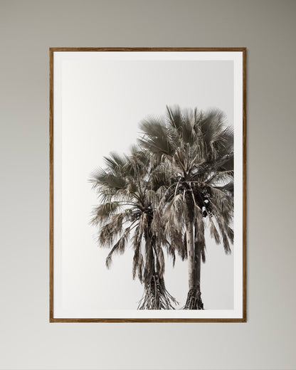 Natural Wood Kiaat framed artwork of palm trees with a clear sky by Francoise V Fine Art Gallery in Cape Town, South Africa