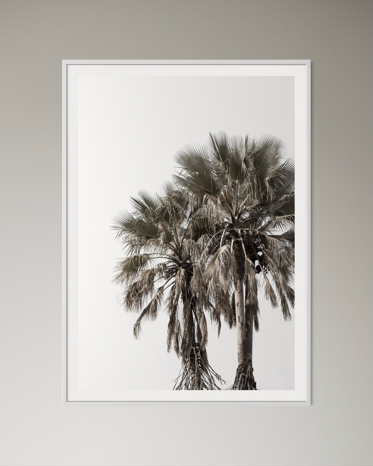 White box-framed artwork print of palm trees with a clear sky by Francoise V Fine Art Gallery in Cape Town, South Africa