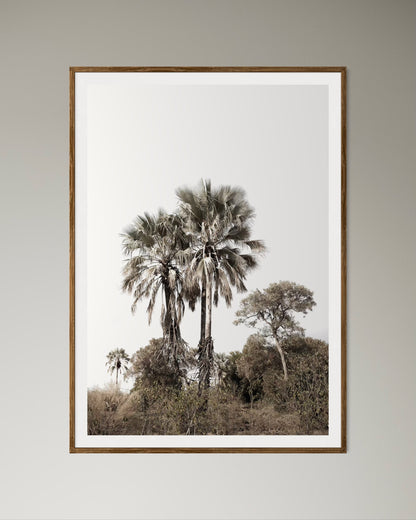Natural Wood Kiaat framed artwork of palm trees with a clear sky by Francoise V Fine Art Gallery in Cape Town, South Africa
