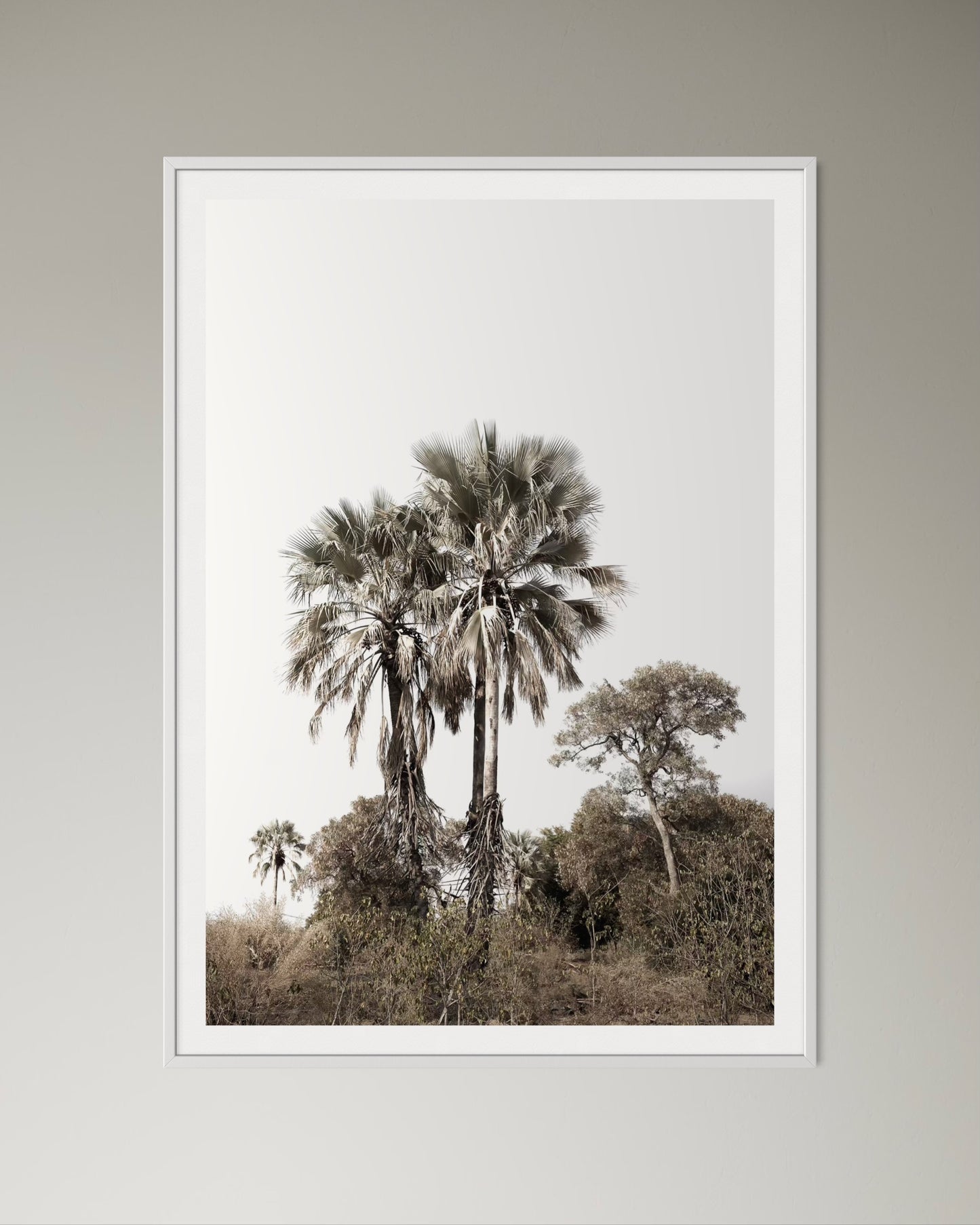 White box-framed artwork print of palm trees with a clear sky by Francoise V Fine Art Gallery in Cape Town, South Africa